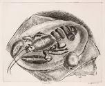 Lobster