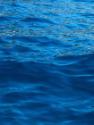 Sea, 1 from the Sea and Solace series