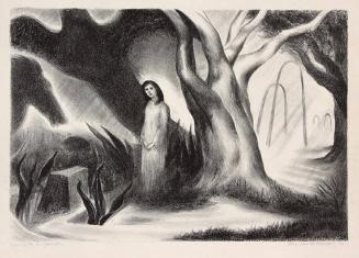 Cave of the Imagination