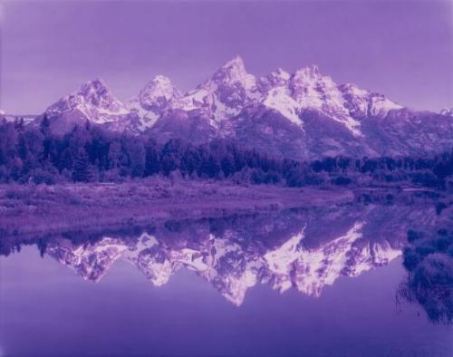 Cybernetic Water Witch, Grand Tetons, Wyoming