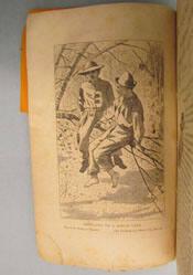 Swinging on a Birch-Tree