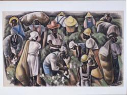 Alabama Cotton Pickers