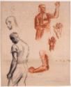 Studies