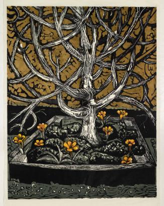 Apple Tree, Crocus