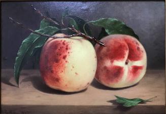 Study of Peaches from Nature