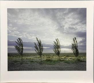 Four Trees, Arizona