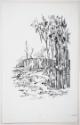 The Santee: Camp of the Swamp Fox