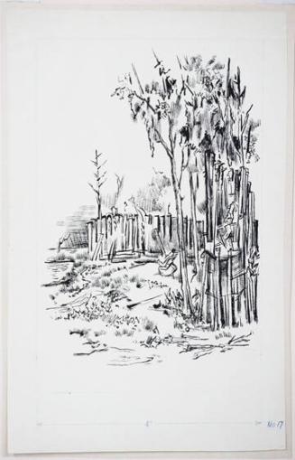 The Santee: Camp of the Swamp Fox