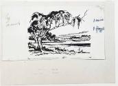 The Savannah: Tree
