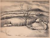 White World