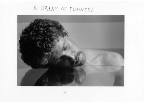 A Dream of Flowers