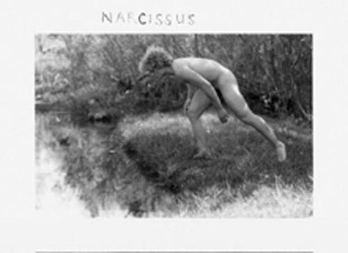 Narcissus