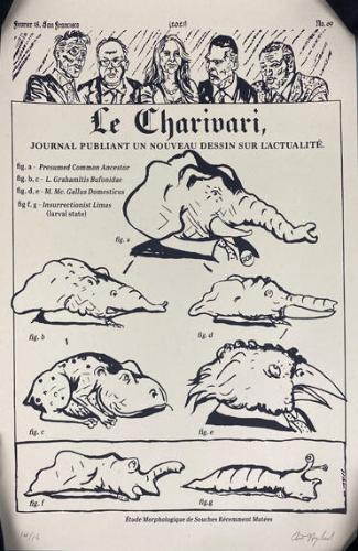 Le Charivari – Étude Morphologique de Souches Récemment Mutées