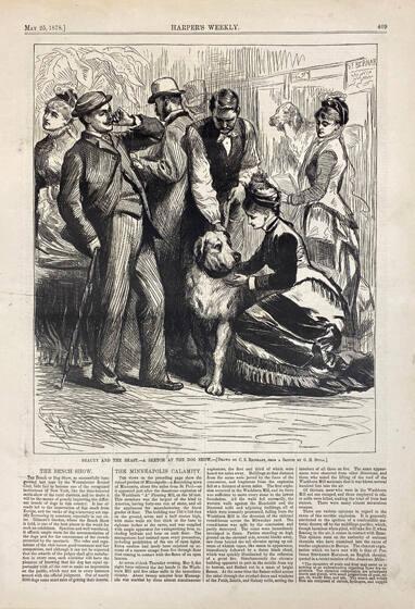 Beauty and the Beast -- A Sketch at the Dog Show (from Harper's Weekly, May 25, 1878)