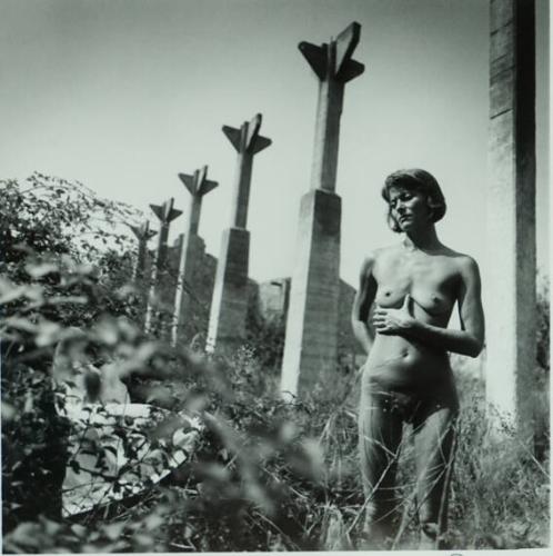 Twinka, Arles
