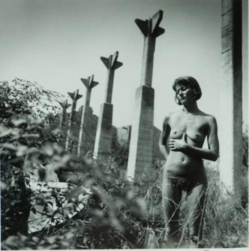 Twinka, Arles
