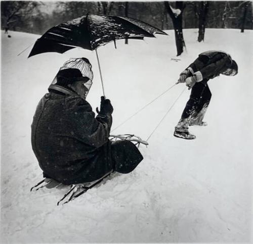 Elmer on Sled with Bird Cage, NY