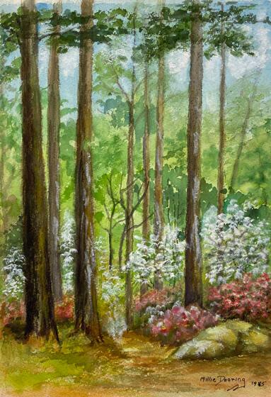 Woods, Trees in Spring