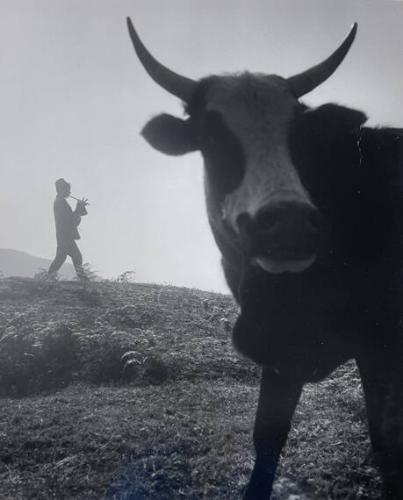 Untitled, Nepal
