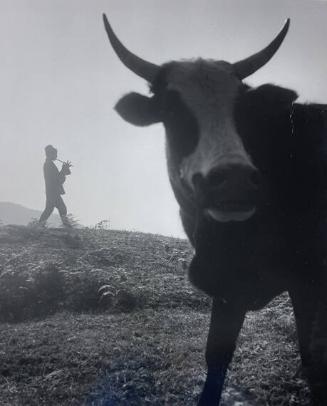 Untitled, Nepal
