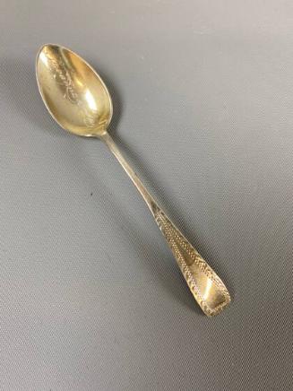 Souvenir spoon - Savannah, Georgia