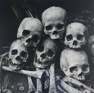 Skulls, Bali
