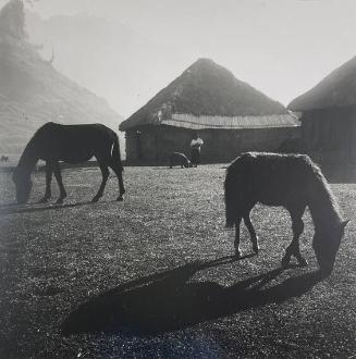 Village Scene, Tenejapa
