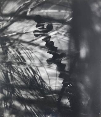 Sacred Stick Wand, Tenejapa
