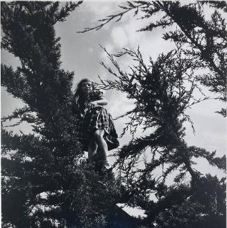 Girl in Tree, Caspar, CA
