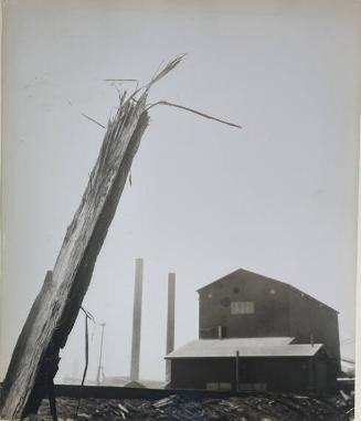 Lumber Mill, Ft. Bragg, CA
