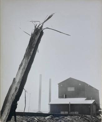 Lumber Mill, Ft. Bragg, CA
