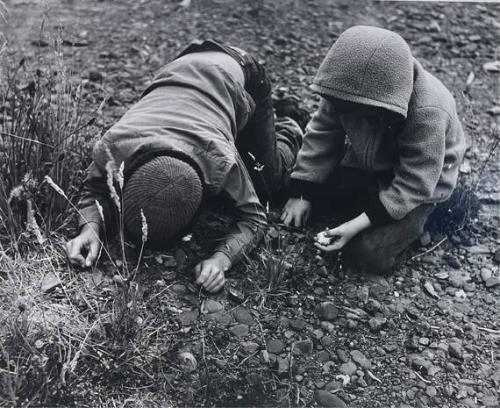 Boys Playing, Caspar CA
