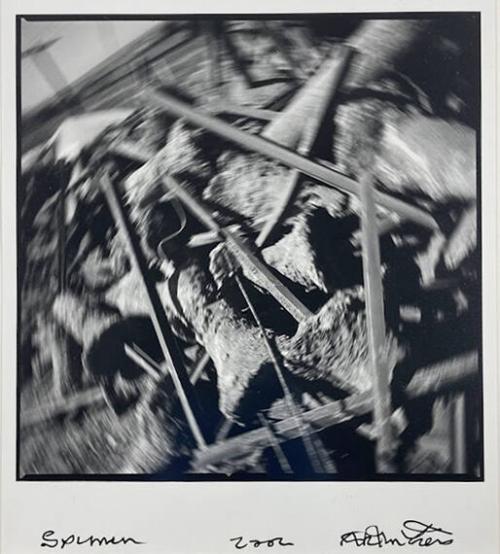 Untitled