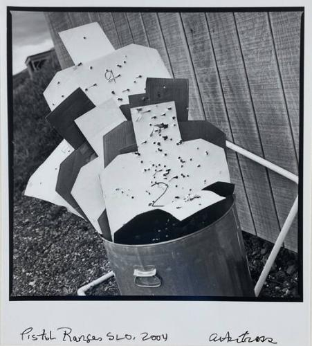 Untitled, SLO
