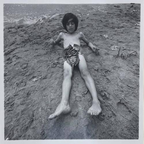 Boy with Horse Shoe Crab, Queens NY
