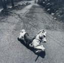 Boy and Hobby Horse, NY NY

