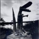 Boy with Alligator, St. Pete, Florida
