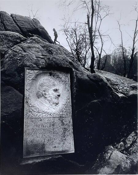 Central Park Face, NY
