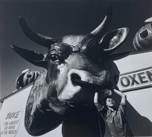 Boy and Giant Ox Head, State Fair, NJ
