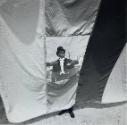 Ring Master, Sarasota, FL
