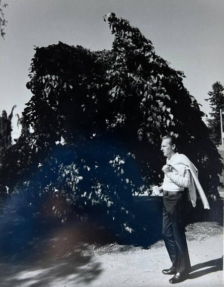 Man and Tree, Vancouver
