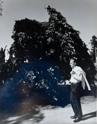 Man and Tree, Vancouver
