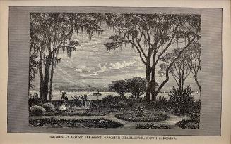 Garden at Mount Pleasant, Opposite Charleston, South Carolina