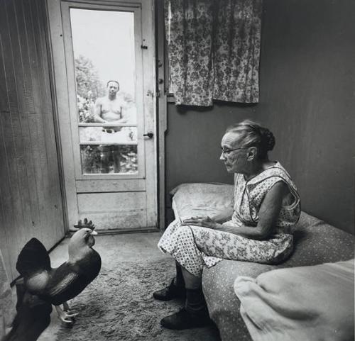 Charlotte Olds and Rooster, Freeville, NY
