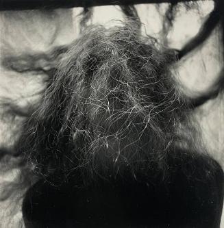 Susan's Hair, NY
