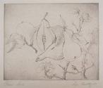 Pears