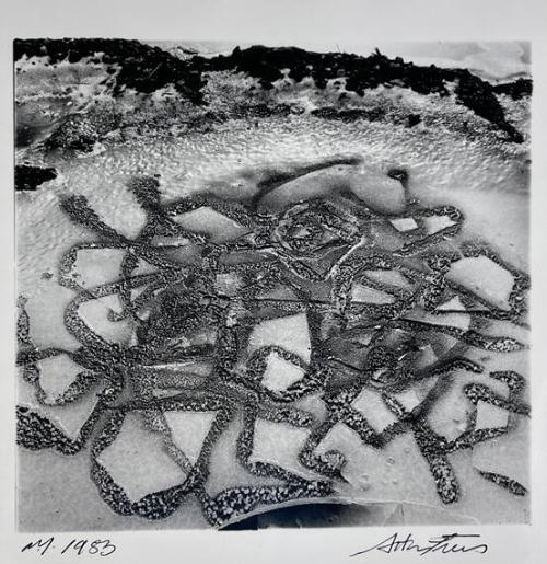Untitled, NY
