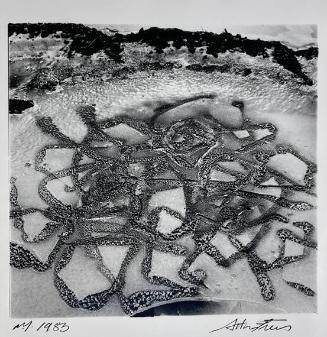 Untitled, NY

