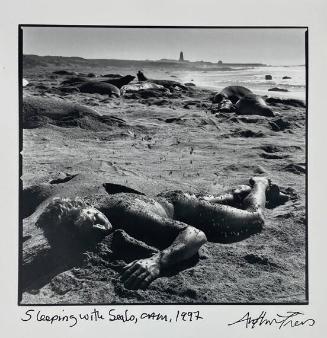 Sleeping with Seals, Cambria
