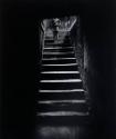 Girl on Stairs, NY
